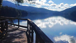 boardwalk bridge on Loon Lake