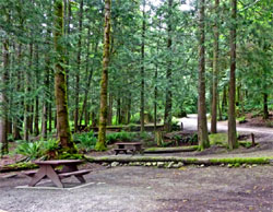 Campsite at Inland Lake